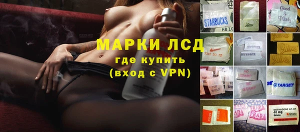 прущие грибы Верхнеуральск