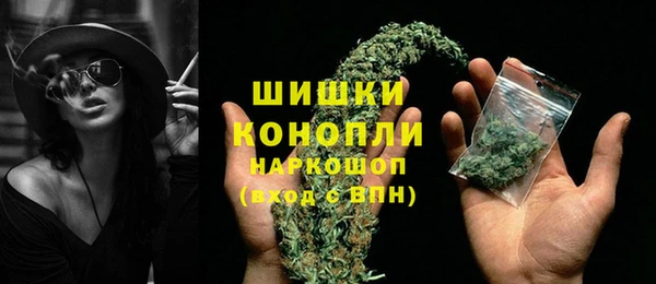 ПСИЛОЦИБИНОВЫЕ ГРИБЫ Верхний Тагил