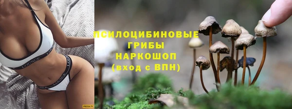 трава Тында