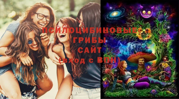 ПСИЛОЦИБИНОВЫЕ ГРИБЫ Верхний Тагил