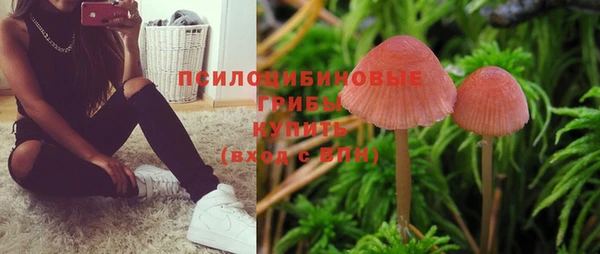 ПСИЛОЦИБИНОВЫЕ ГРИБЫ Верхний Тагил