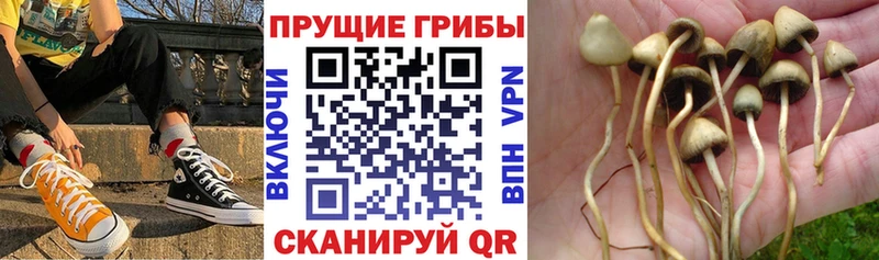 Галлюциногенные грибы мухоморы Тотьма